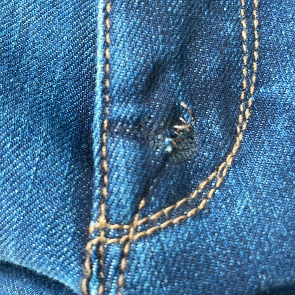 DL1961 Coco Curvy Straight Jeans Solo Dark Wash - Picture 9 of 11